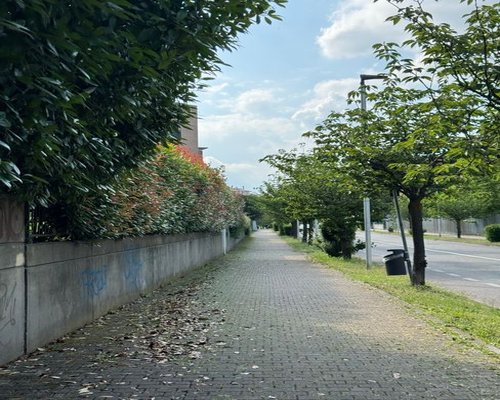 calm walk through an Italian city park